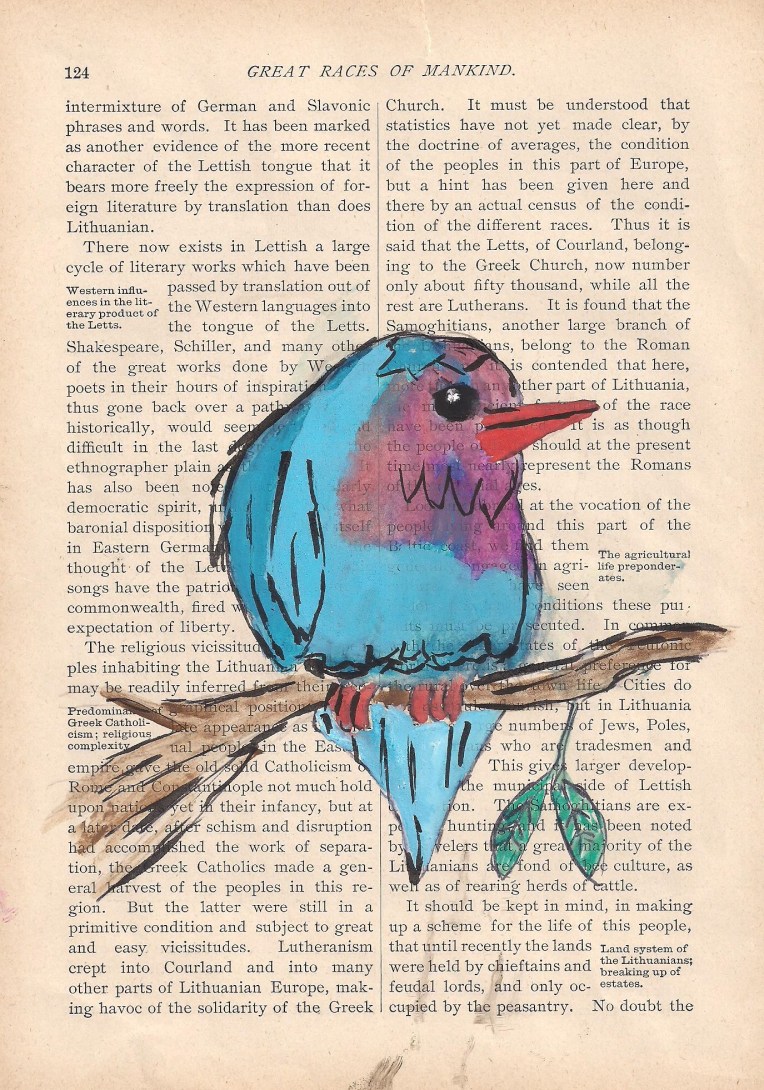 bird