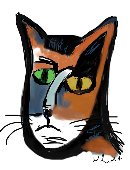 cat-22