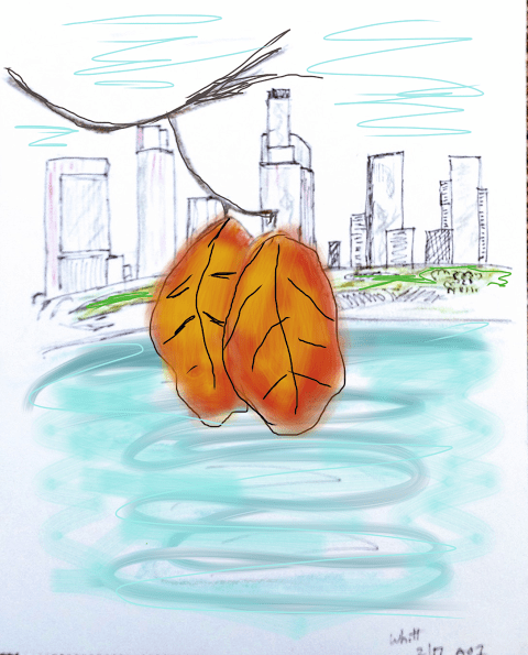 leaves-2
