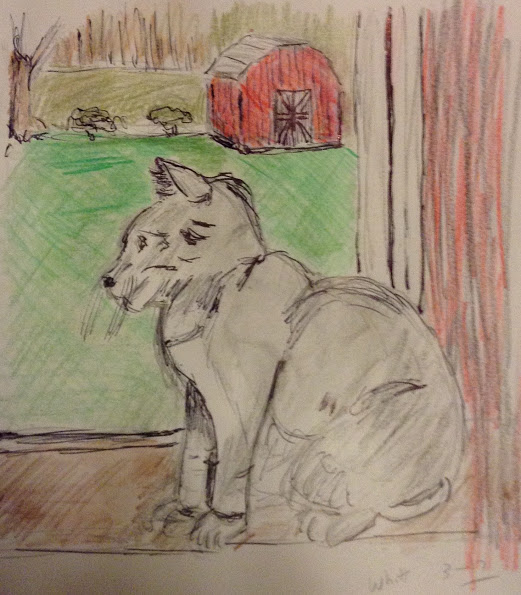 cat 3